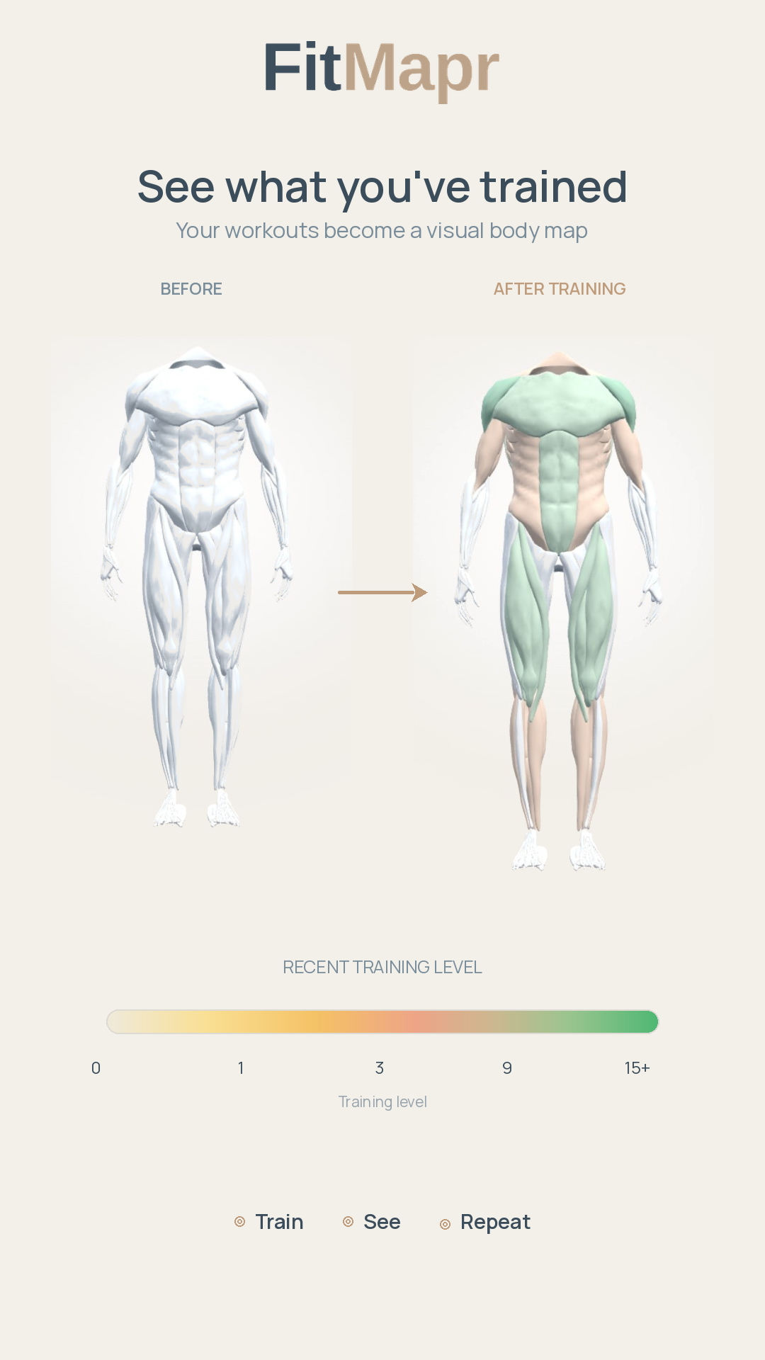 FitMapr showing training on the body map